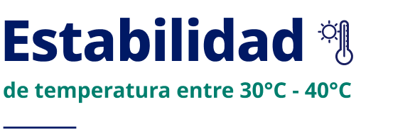 estabilidad